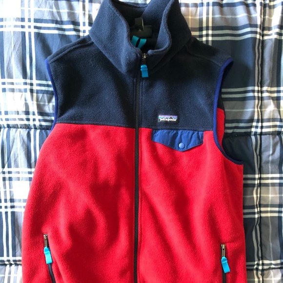 Patagonia Other - Patagonia Synchilla Fleece Vest